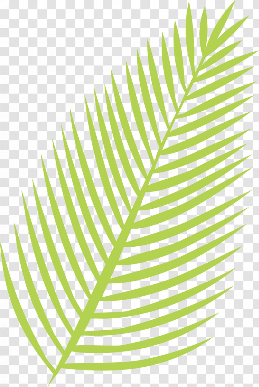 Leaf Image Paper Design Stencil - Vascular Plant Transparent PNG