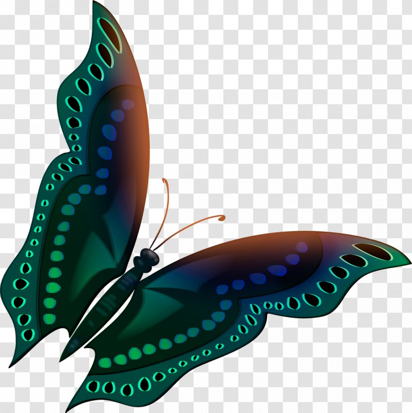 Butterfly Facebook Insect Pollinator Color - Butterflay Transparent PNG