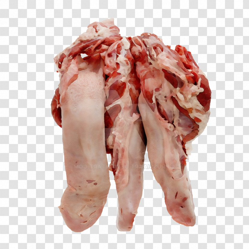 Red Meat Back Bacon Goat Meat Veal Lamb Transparent PNG
