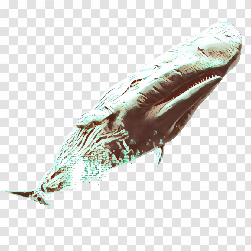 Marine Mammal Humpback Whale Cetacea Blue Transparent PNG