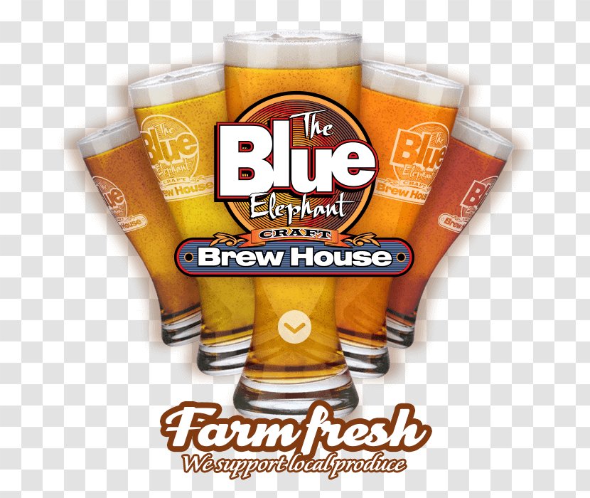 Beer Glasses Blue Elephant Craft Brew House Food Restaurant - Eating Transparent PNG