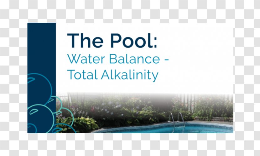 Alkalinity Water Resources Swimming Pool PH Transparent PNG