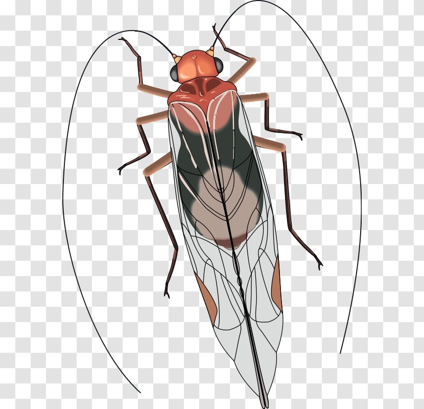 Insect Wing Antenna Clip Art - Flower Transparent PNG