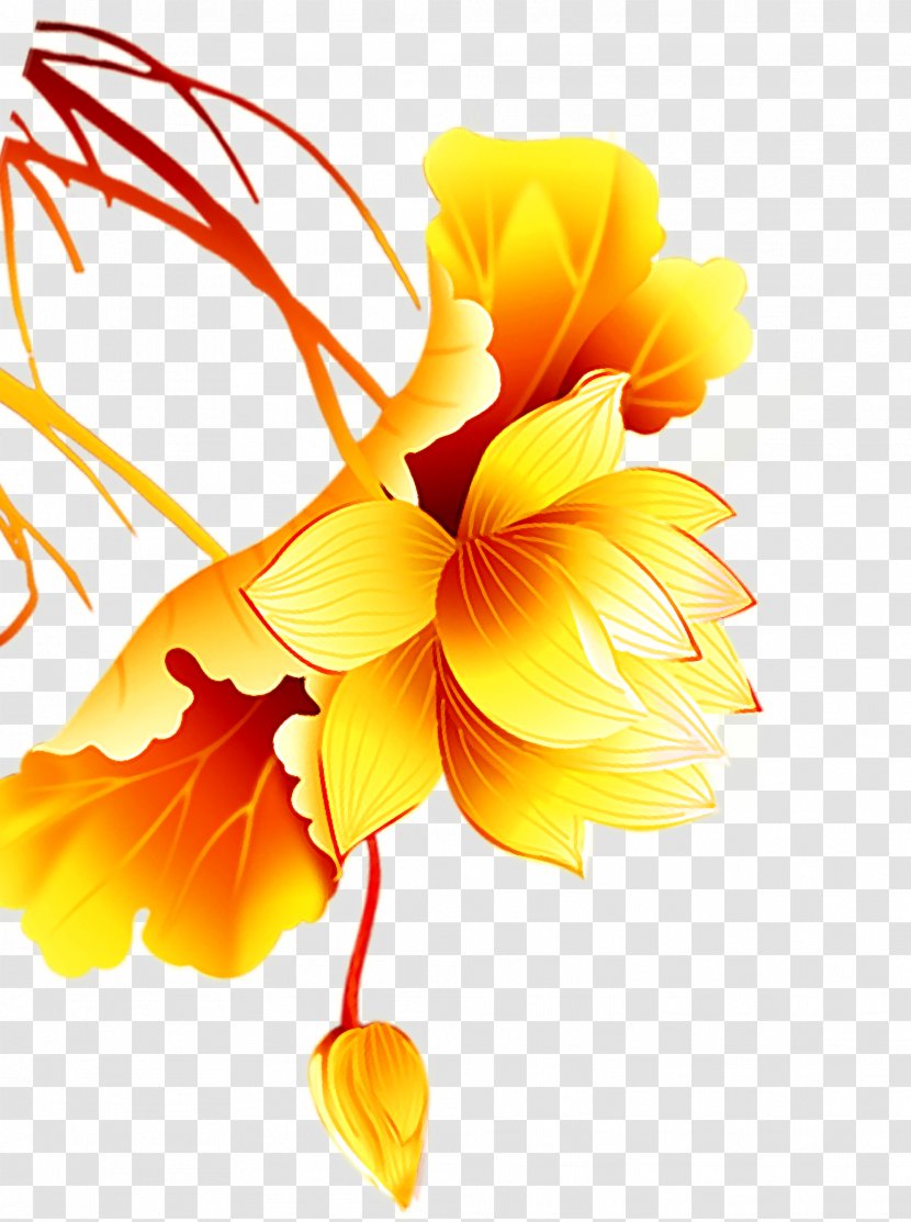 Tangyuan Yellow Flower Gold - Petal - Lotus Transparent PNG