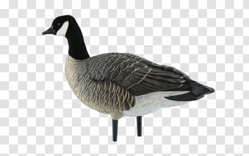 Canada Goose Duck Decoy - Flower Transparent PNG