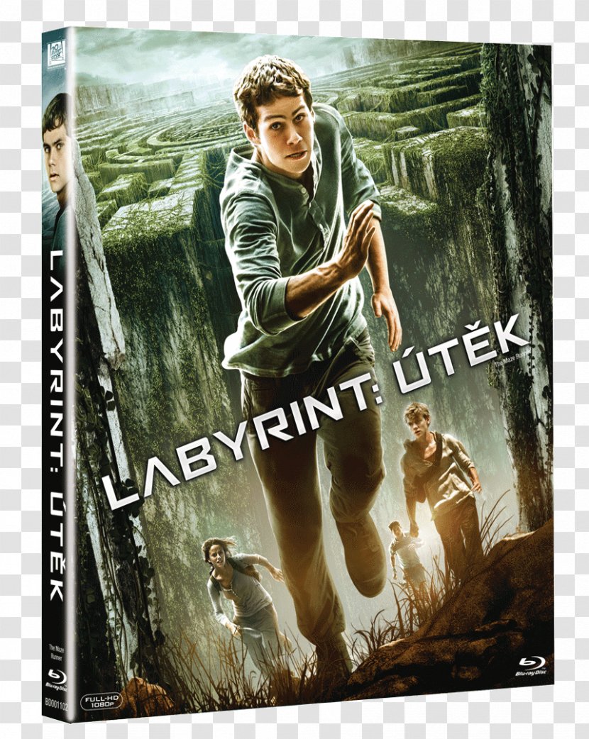 Blu-ray Disc Ultra HD The Maze Runner High-definition Television - Poster - Blade Transparent PNG