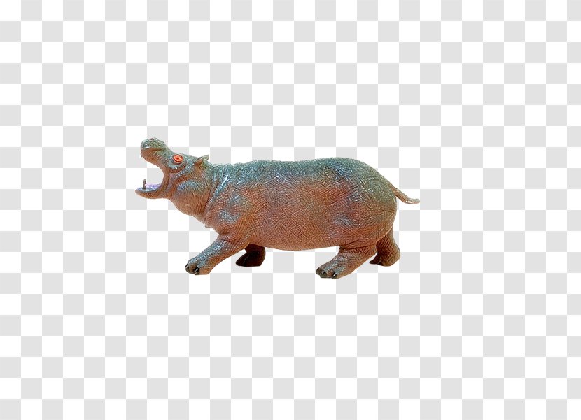Pig Hippopotamus PhotoScape GIMP Fauna - Nd Transparent PNG