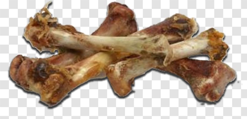 Bone Chicken As Food Roast Eating - Stock Transparent PNG