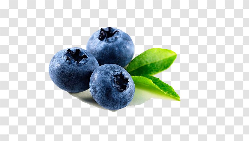 Dalian Blueberry Dandong Speciality U4e39u4e1cu7279u4ea7 Fruit Preserves - Plant - Still Life Watercolor Transparent PNG