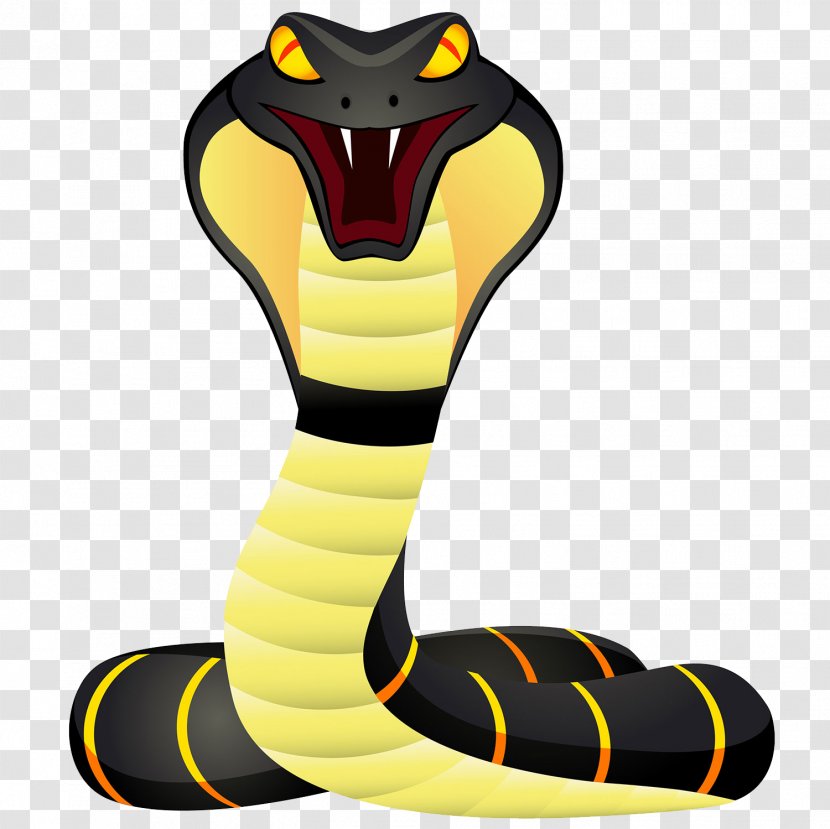 Snake King Cobra Cartoon - Xenodermus - Cute Image Transparent PNG