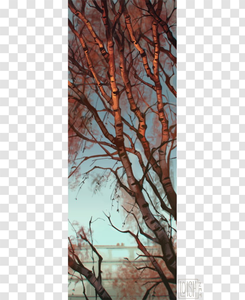 Artist Drawing Birch Tree - Photography Transparent PNG