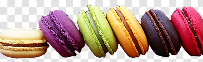 Macaroon French Cuisine Macaron Biscuits Dessert - Almond - White Chocolate Ganache Transparent PNG