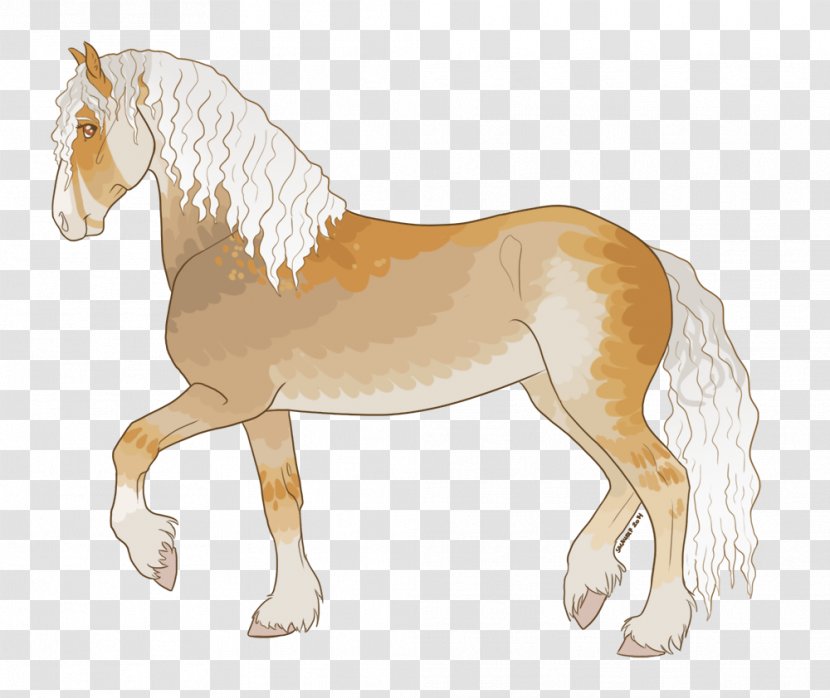 Mane Mustang Foal Stallion Colt - Quagga Transparent PNG