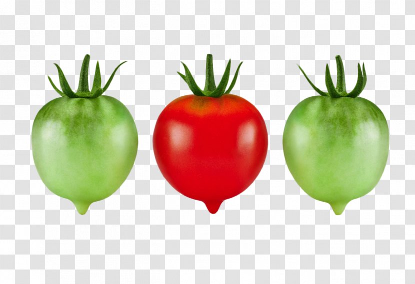 Hamburger Organic Food Cherry Tomato - Potato And Genus Transparent PNG