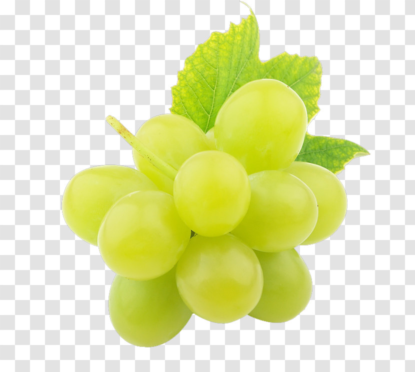 Grape Seedless Fruit Grapevine Family Green Fruit Transparent PNG