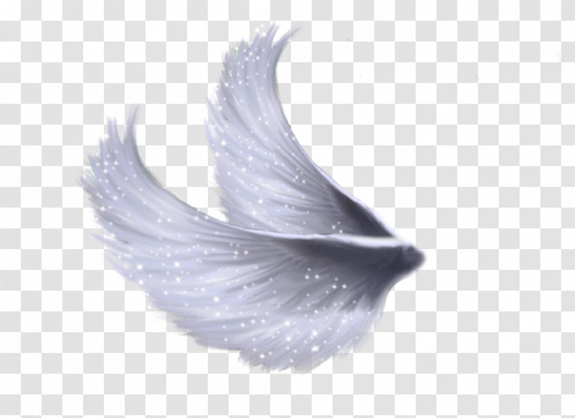 Clip Art - Wing - Angel Wings Transparent PNG