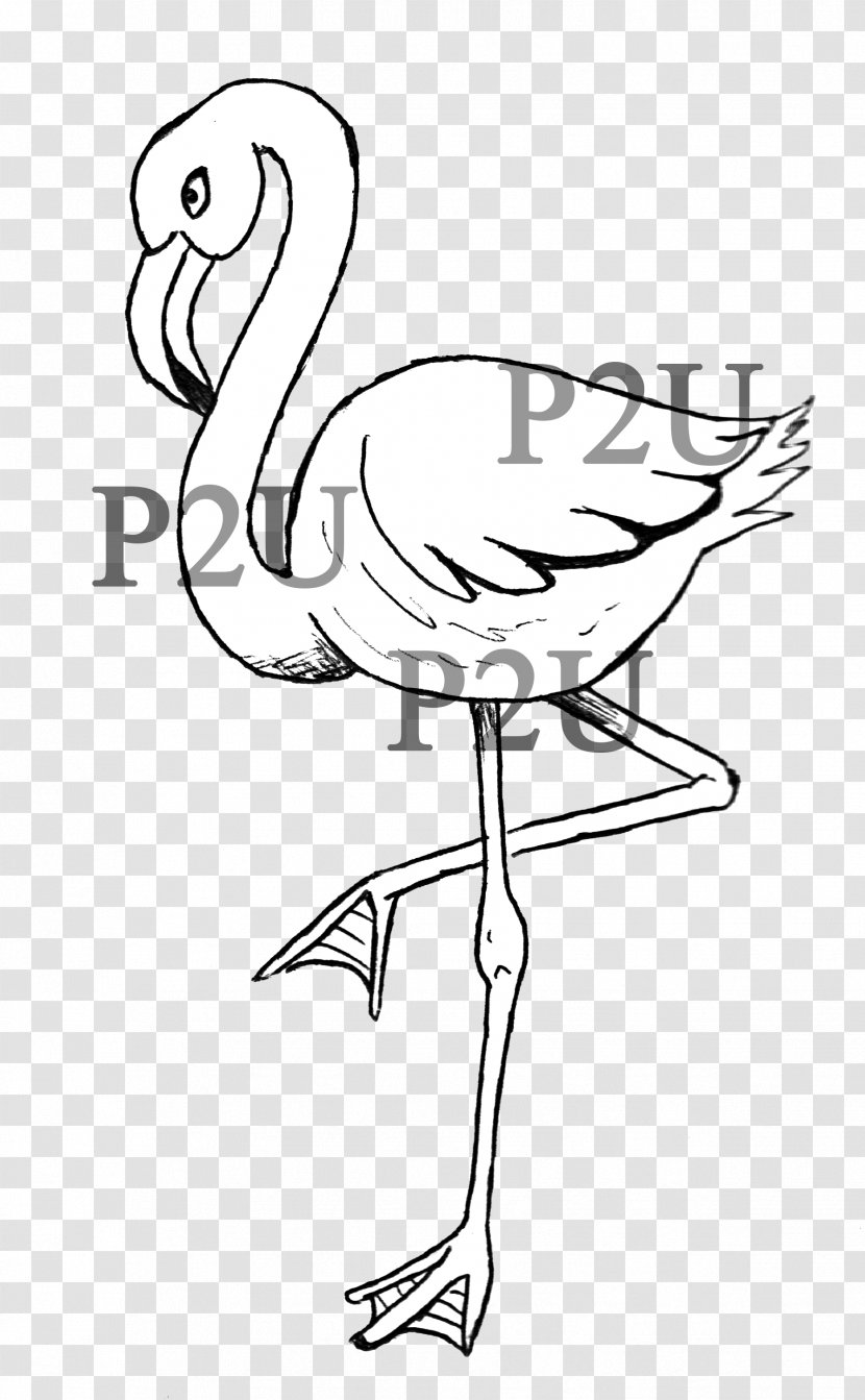 Line Art Drawing Cartoon Flamingo Clip - Plant Transparent PNG