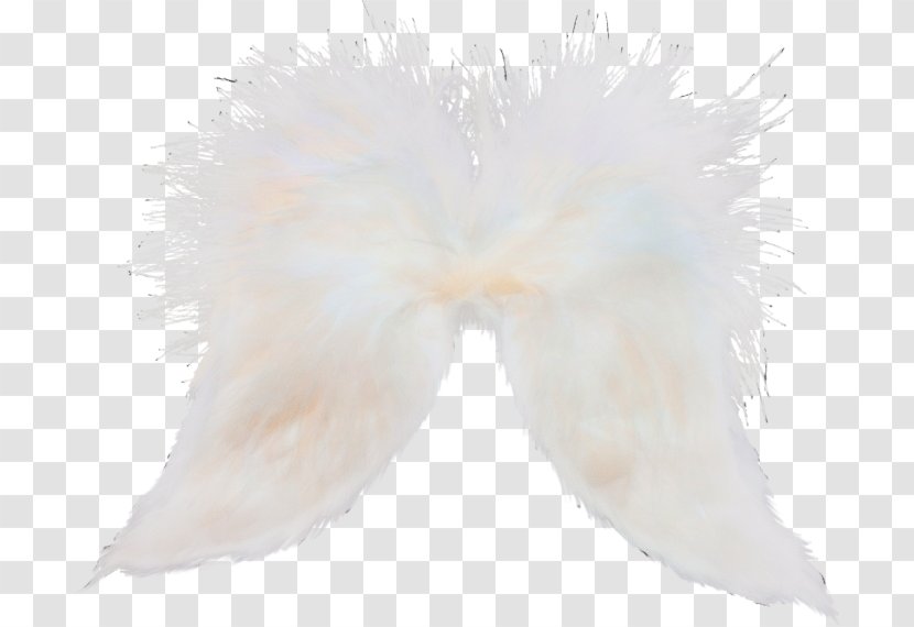 Feather - Wing - Fictional Character Costume Transparent PNG