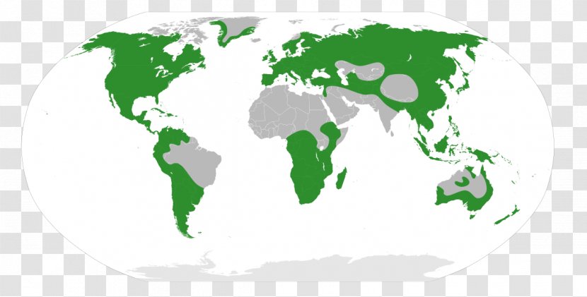 World Map Globe Blank - Area Transparent PNG