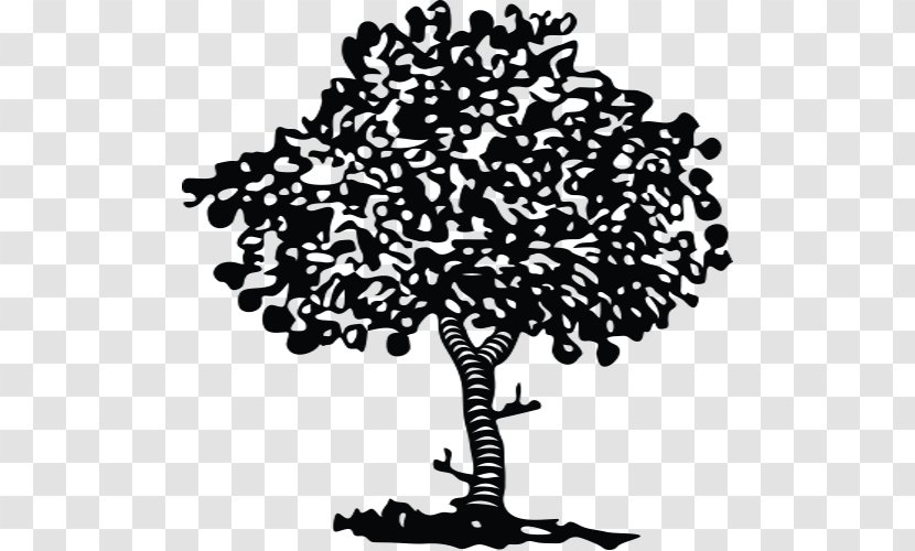 Tree Apple Innovation Company Clip Art - Black And White Transparent PNG