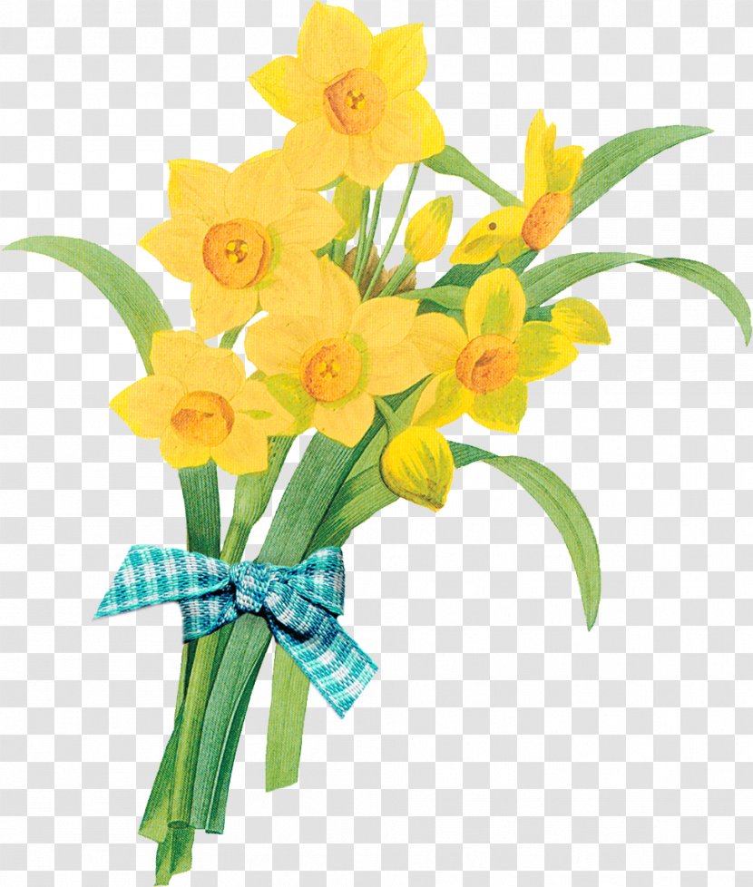 Botanical Illustration Printing Flower Antique Wild Daffodil Transparent PNG