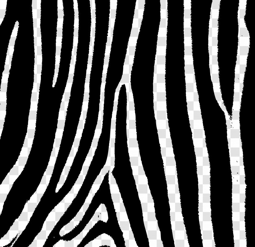 Zebra Patterning Stripe - Branch Transparent PNG