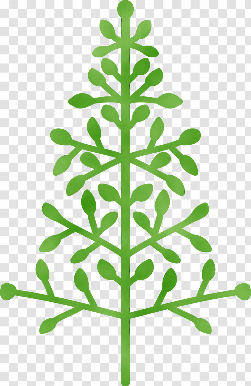 Leaf Green Tree Plant Plant Stem Transparent PNG