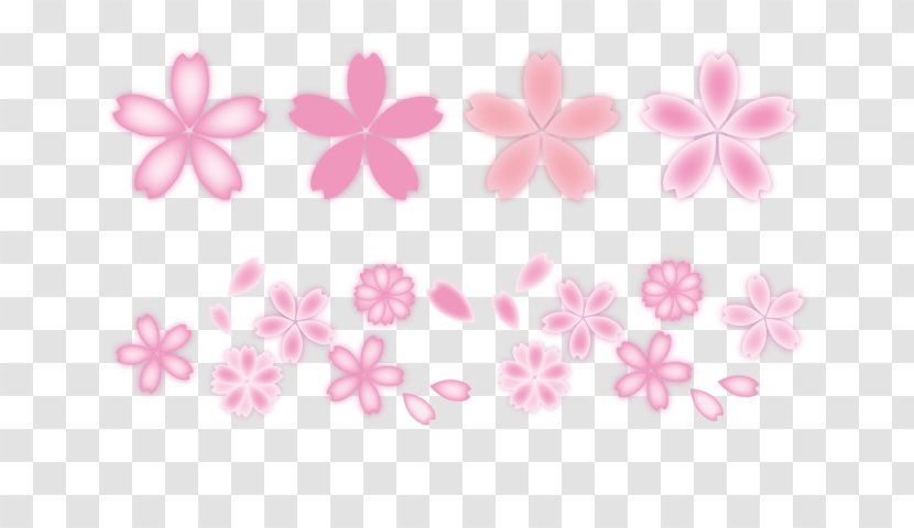 Floral Design Drawing - Flower - 西篮花 Transparent PNG