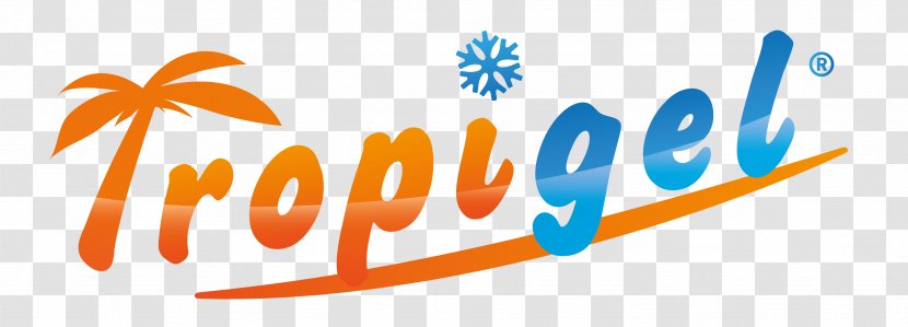 Logo Brand Font Clip Art Product - Text - Beignet Pennant Transparent PNG