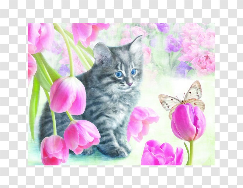 Kitten Jigsaw Puzzles Whiskers Cat Tulip - Acrylic Paint - Material Transparent PNG
