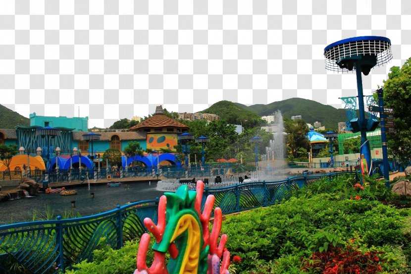 Ocean Park Hong Kong U6d77u6d0b Water Hongkong Turizmusa - Leisure - Amusement HD Photo Transparent PNG