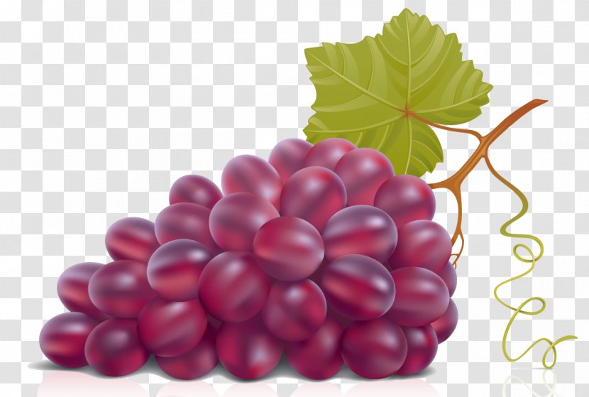 Wine Grape Leaves Clip Art - Grapevine Family Transparent PNG
