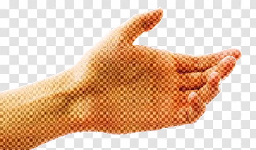 Finger Hand Thumb Wrist Arm - Sign Language - Nail Transparent PNG
