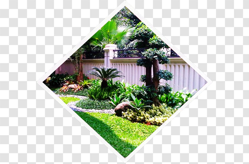Jasa Pembuatan Taman - Gardening - Fumida Garden Landscape Lawn HandymanSaung Transparent PNG