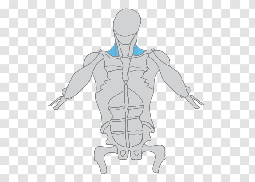 Thumb Top Sleeve Hip - Silhouette - Trapezius Muscle Transparent PNG