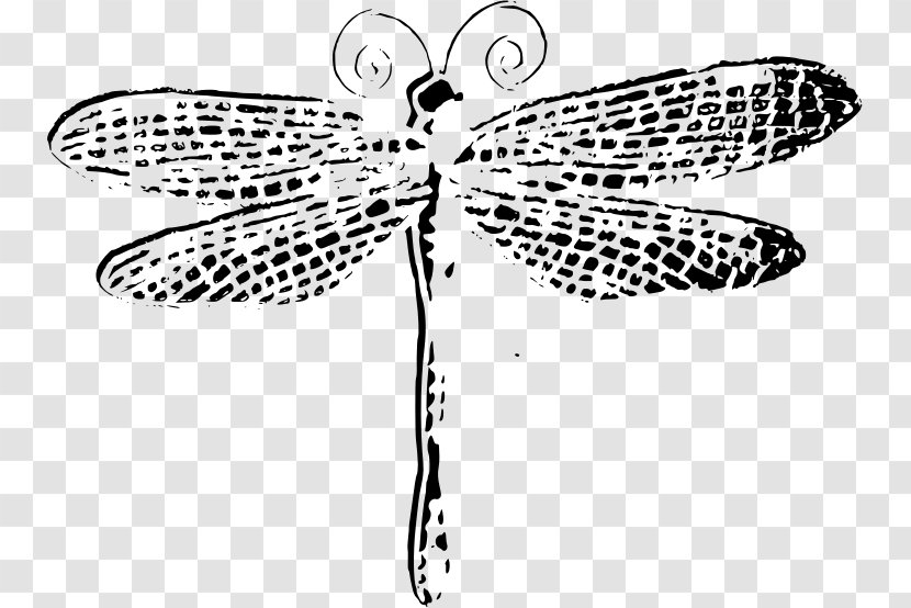 Dragonfly Insect Clip Art - Leaf Transparent PNG