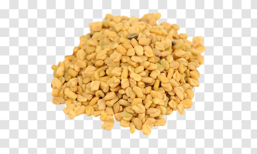 Fenugreek Indian Cuisine Ancient Roman Food Sprouting - Spice Transparent PNG