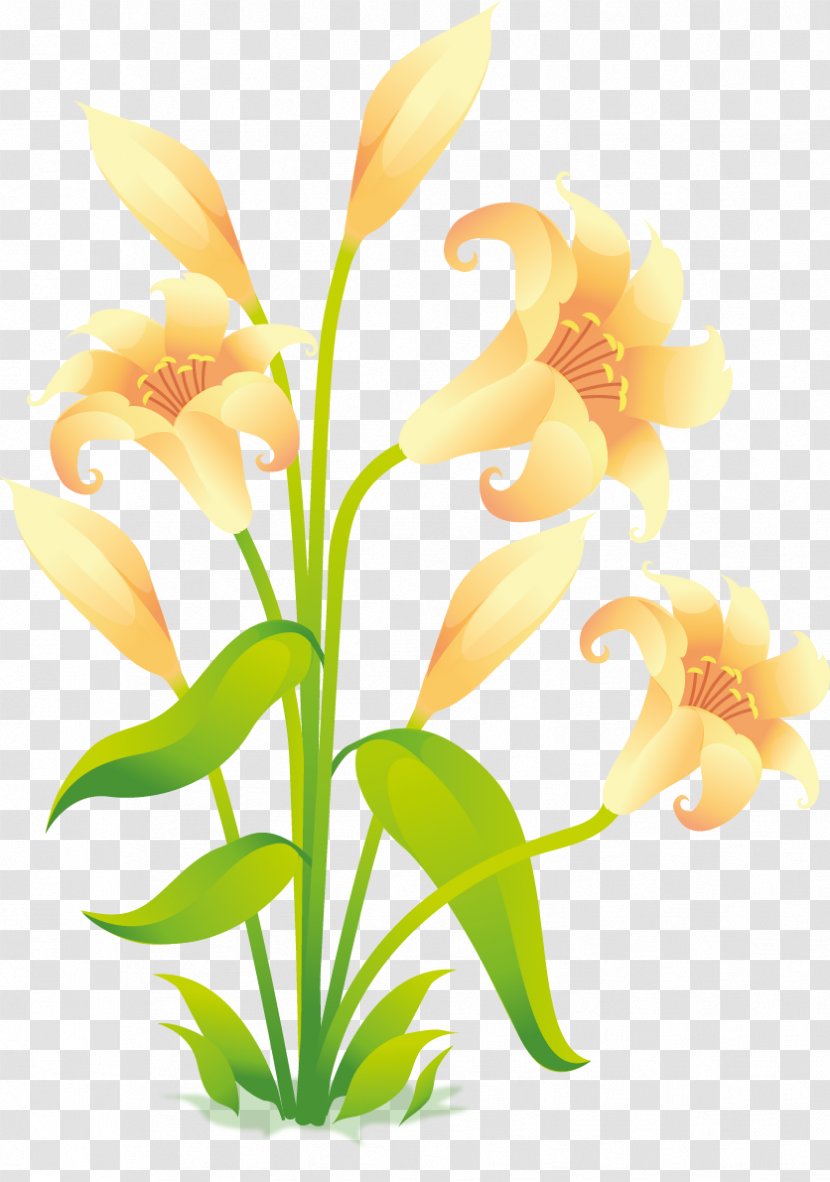 Flower Easter Lily Clip Art - Yellow - Gladiolus Transparent PNG