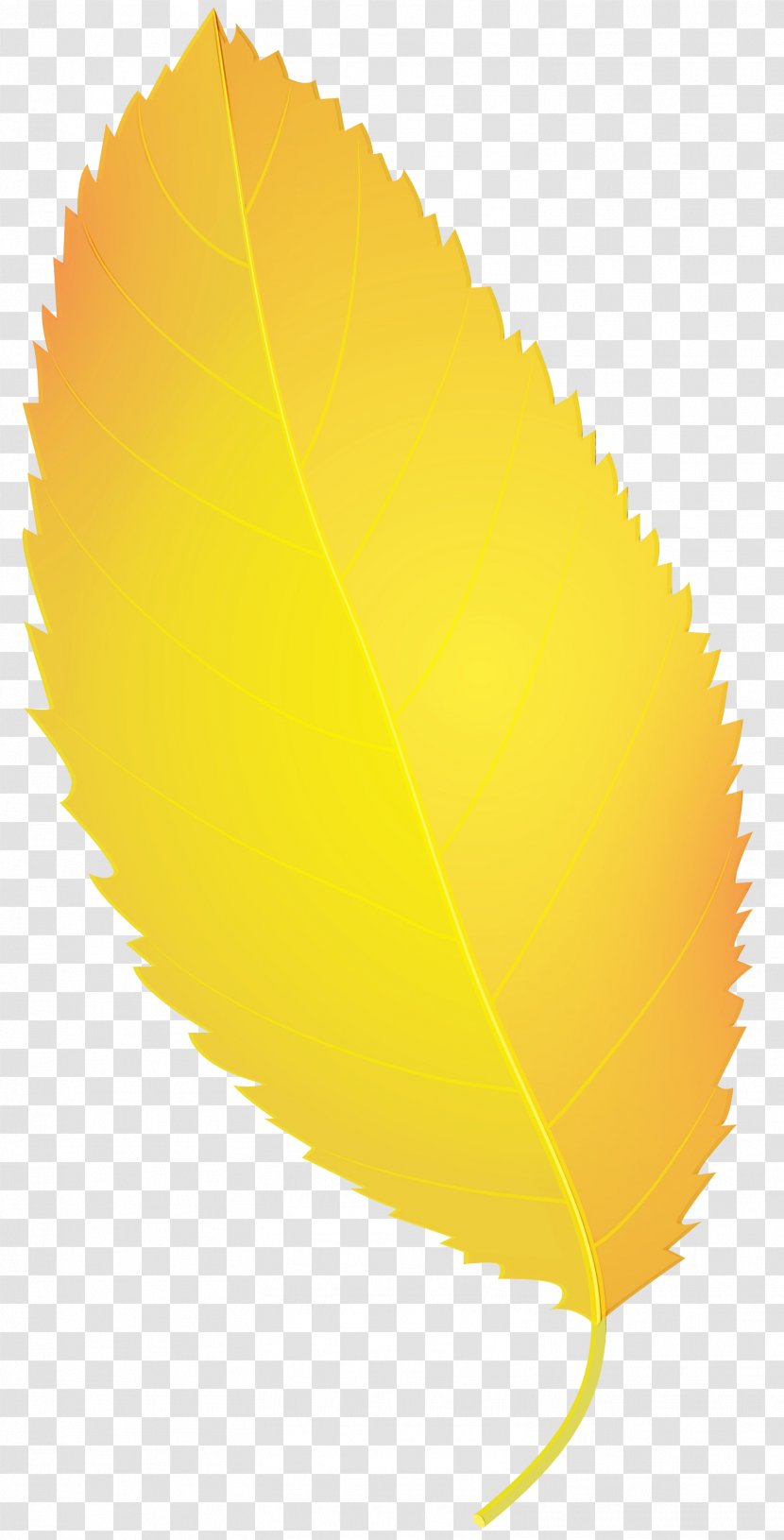 Clip Art Autumn Image - Leaf Color - Season Transparent PNG