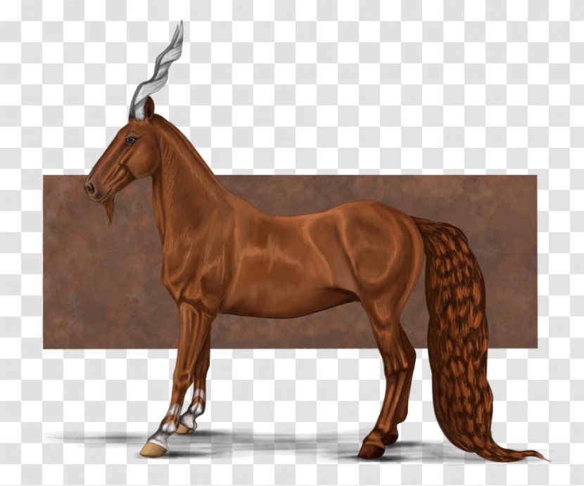 Rein Mustang Mare Horse Harnesses Stallion - Like Mammal Transparent PNG