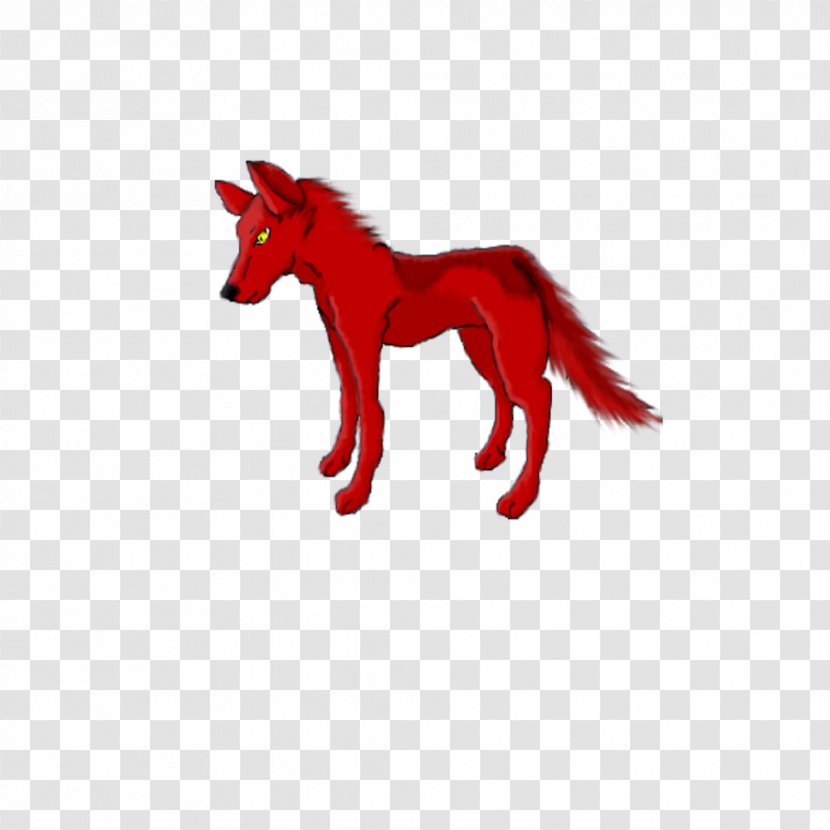 Mustang Canidae Dog Snout Freikörperkultur - Horse Like Mammal Transparent PNG