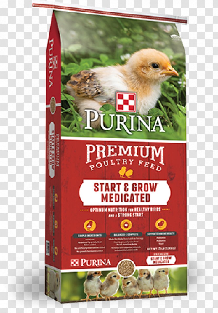 Chicken Poultry Feed Purina Mills Land O'Lakes - Advertising Transparent PNG