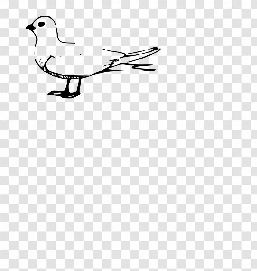 Gulls Duck Bird Clip Art Transparent PNG