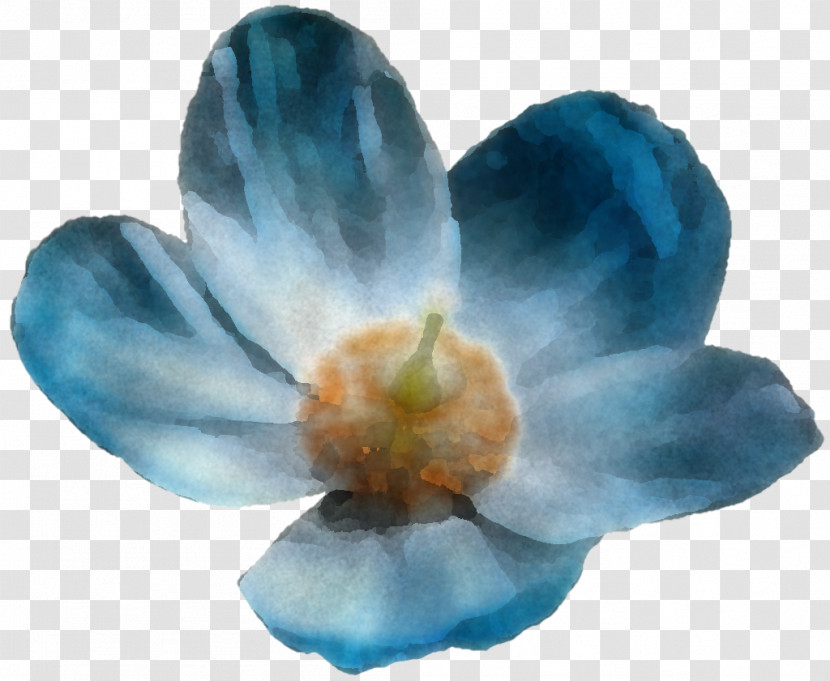 Flower Petal Turquoise Cobalt Blue Turquoise Transparent PNG
