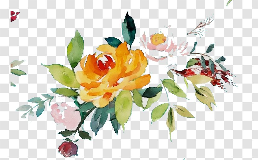 Watercolor Painting Vector Graphics Art - Rose Family - Order Transparent PNG