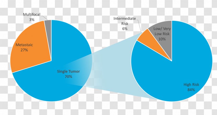 Gastrointestinal Stromal Tumor Chronic Myelogenous Leukemia Cancer Chart February - Organization - Blue Transparent PNG