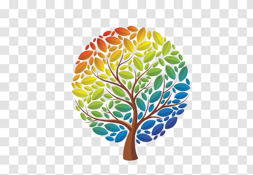 Tree Rainbow Eucalyptus Drawing - Leaf Transparent PNG