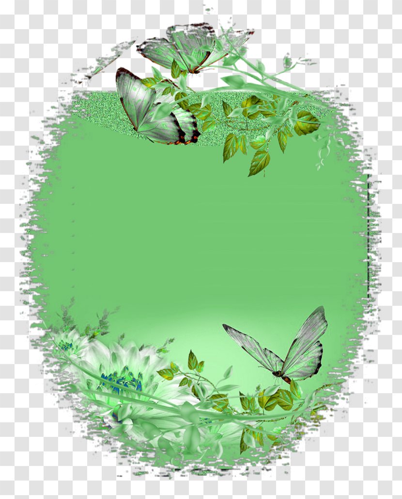 Insect Herbalism Leaf Pollinator Transparent PNG