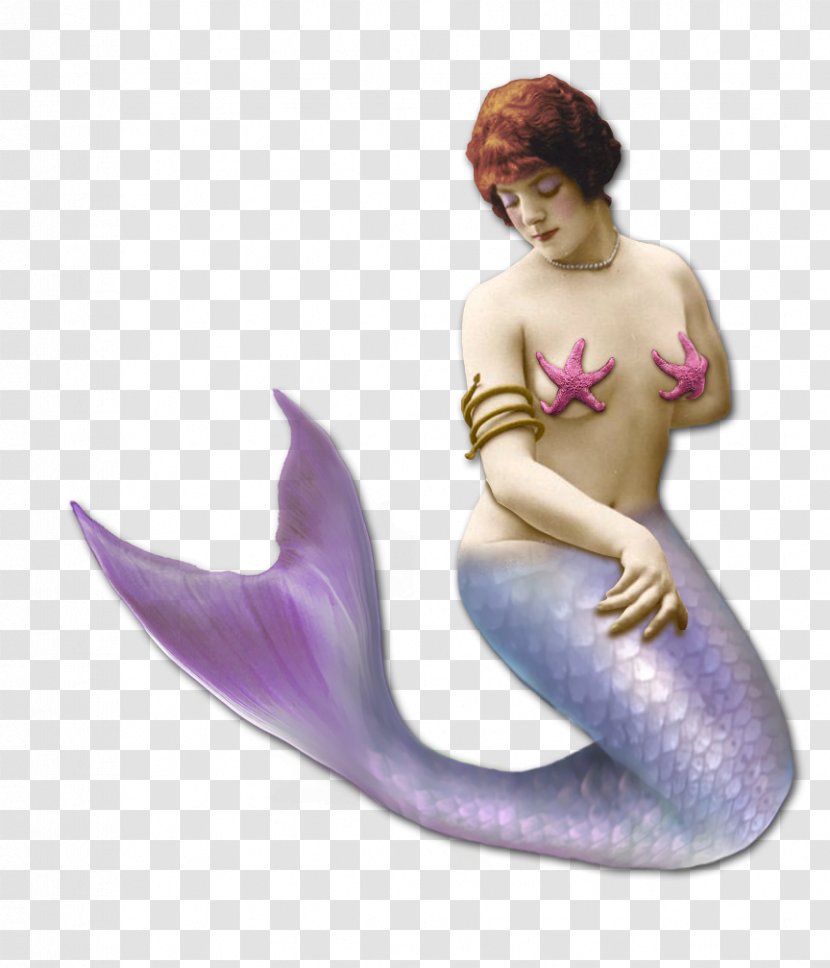 Mermaid The Kiss Of Siren Legendary Creature Minotaur - Fictional Character - Tails Transparent PNG