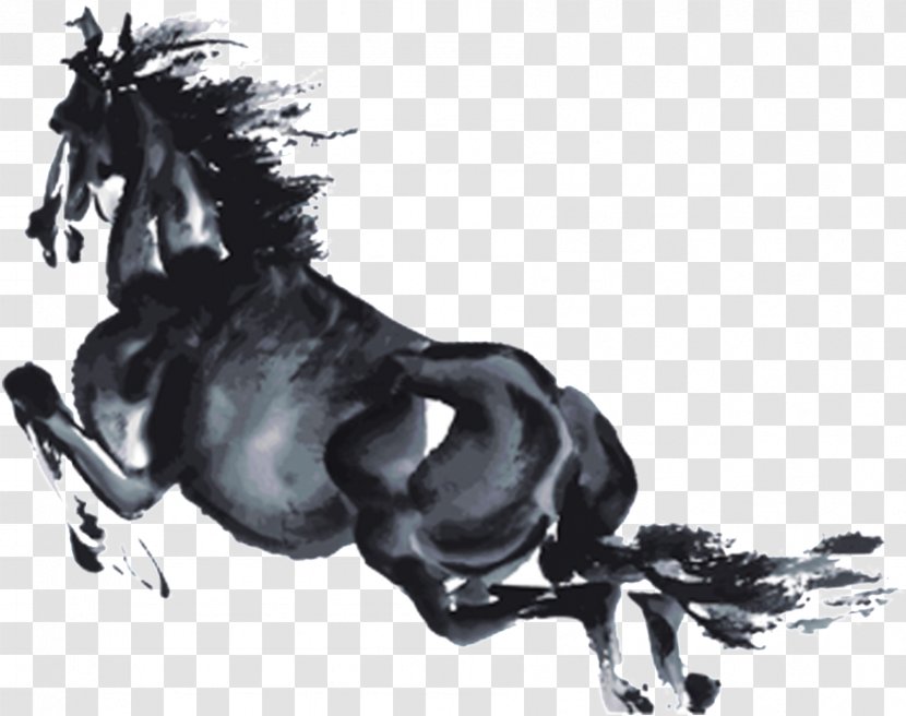 Horse Stallion Animal Figure Mane Sorrel - Drawing Blackandwhite Transparent PNG